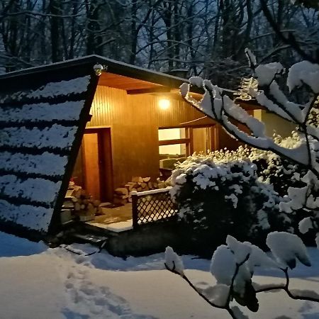 Villa Chalpa Na Skarpie Meszna Exterior foto